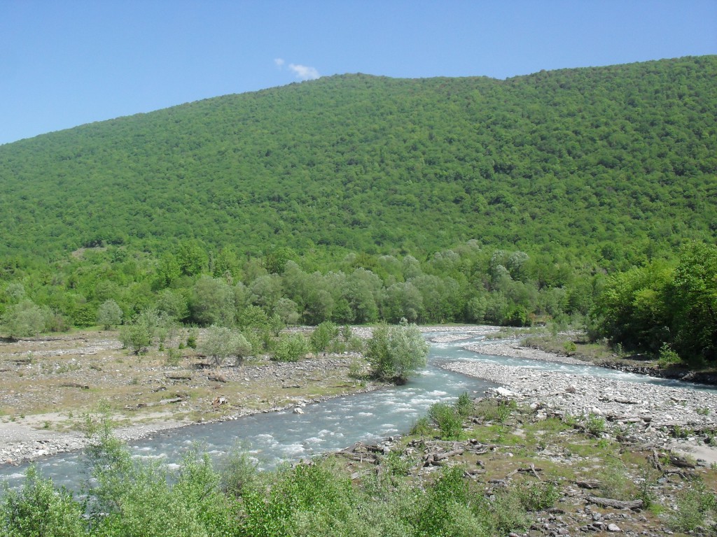 Очередная река Кодорского ущелья