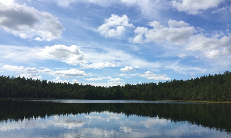 Чистейшее озеро посреди леса