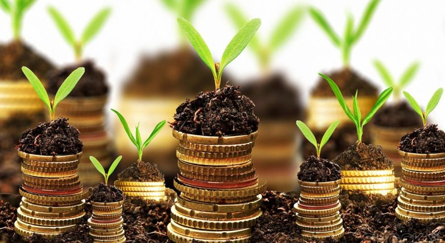 ESG инвестиции: деньги важны, но не любой ценой