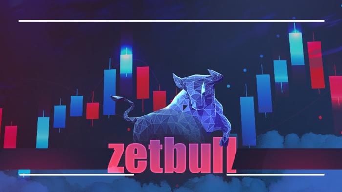 Обзор проекта Zetbull